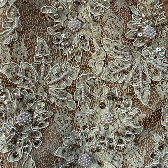 Absolutely Stunning Strapless Lace, Bead and Sequin Prom Formal - Picture 6 of 11